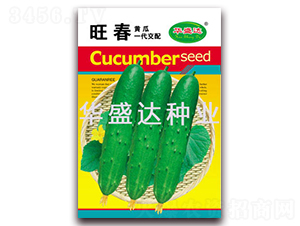 旺春-黃瓜種子-華盛達(dá)