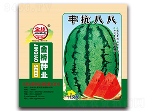 豐抗八八-西瓜種子-金橋種業(yè)