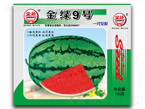 金綠9號(hào)-西瓜種子-金橋種業(yè)