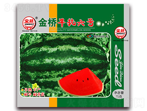 金橋早抗六號(hào)-西瓜種子-金橋種業(yè)
