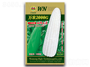 萬農(nóng)2000G-糯玉米種子-萬農(nóng)高科