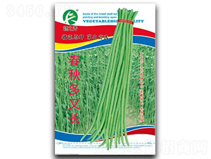 春秋多又長(zhǎng)-豇豆種子-贛蔬種業(yè)