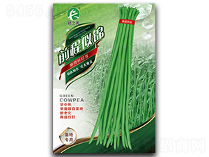前程似錦-豇豆種子-贛蔬種業(yè)