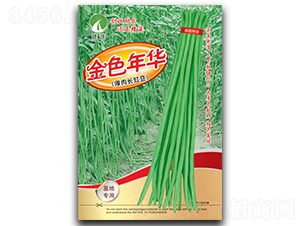 金色年華-豇豆種子-贛蔬種業(yè)