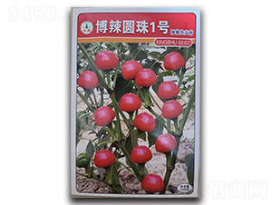 博辣圓珠1號(hào)-辣椒種子-興蔬種業(yè)