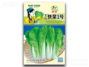 快菜1號-青菜種子-蜀信種業(yè)