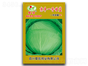 京豐一號(hào)-甘藍(lán)種子-蜀信種業(yè)