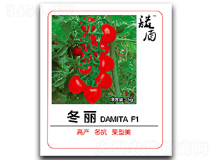 冬麗（紅果櫻桃番茄）-番茄種子-徽大農業(yè)