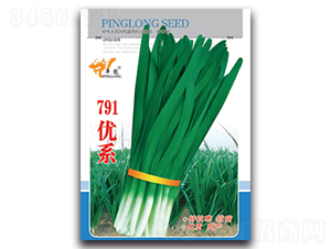791優(yōu)系-韭菜種子-平龍種業(yè)