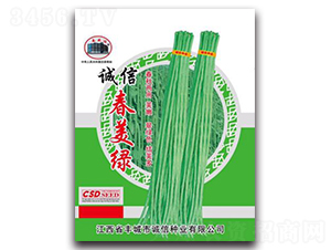 誠信春美綠-豇豆種子-誠信種業(yè)