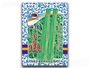 誠信金豇928-豇豆種子-誠信種業(yè)