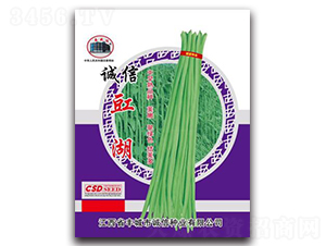 誠(chéng)信豇湖-豇豆種子-誠(chéng)信種業(yè)