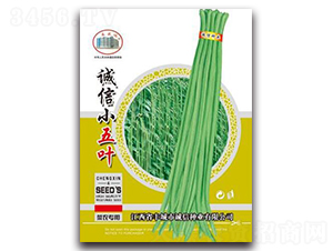 誠信小五葉-豇豆種子-誠信種業(yè)