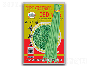 小葉青豇玉-豇豆種子-誠(chéng)信種業(yè)