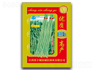 進(jìn)口無種小五葉-豇豆種子-誠(chéng)信種業(yè)