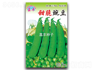 甜脆豌豆-豌豆種子-嘉豐種子