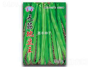 無筋地豆王-地豆種子-嘉豐種子