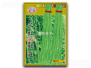 之豇28-2豇豆-豇豆種子-嘉豐種子