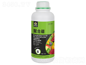 聚合硼-利爾森