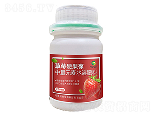 中量元素水溶肥料-草莓硬果葆-碩森生物