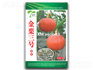 金栗三號(hào)-南瓜種子-夏農(nóng)農(nóng)業(yè)