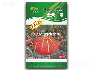 金栗二號(hào)-南瓜種子-夏農(nóng)農(nóng)業(yè)