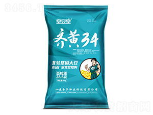 齊黃34大豆種子-圣豐種業(yè)
