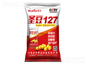 圣豆127-大豆種子-圣豐種業(yè)