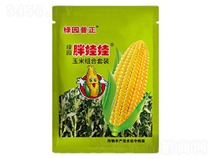 玉米組合套裝-綠園胖掛娃-普正農(nóng)業(yè)