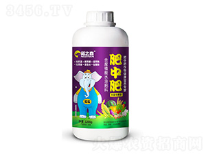 含腐植酸水溶肥料-肥中肥-諾之森