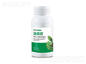 清青苔-碩達