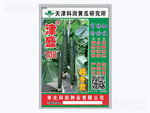 津盛108-黃瓜種子-科潤(rùn)種業(yè)