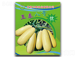 玉泰八號-西葫蘆種子-玉泰種業(yè)