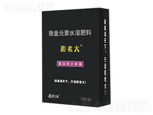 膨老大蛋白核小球藻-億隆農(nóng)業(yè)