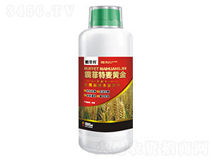 含氨基酸水溶肥料-霸菲特麥黃金-霸菲特-綠之源