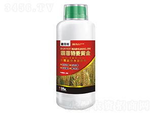 含氨基酸水溶肥料500ml-霸菲特麥黃金-霸菲特-綠之源
