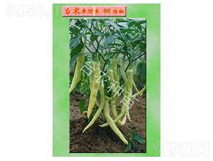 希臘黃-88號辣椒-辣椒種子-臺農(nóng)種苗