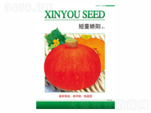 短蔓嬌陽(yáng)-德盛豐