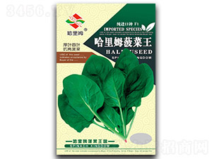 哈里姆菠菜王-菠菜種子-哈里姆