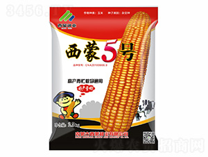 西蒙青貯5號-西蒙種業(yè)