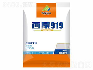 西蒙919-西蒙種業(yè)