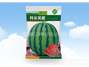 科樂美都（袋）-科樂種業(yè)