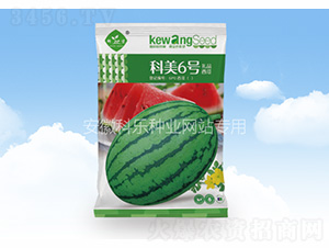科美6號(hào)-科樂種業(yè)