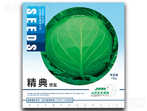 精典-甘藍(lán)種子-金木茂和