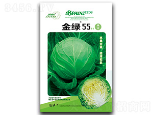 金綠55-甘藍(lán)種子-金木茂和