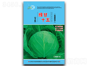 綠甘十五-甘藍(lán)種子-金木茂和