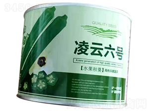 凌云六號水果秋葵-耘盛