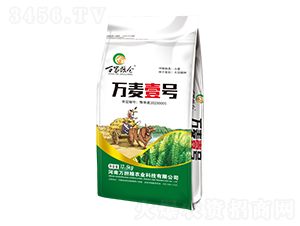 小麥種子-萬麥壹號(hào)-萬擔(dān)糧