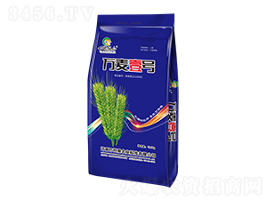 萬麥壹號(hào)-小麥種子-萬擔(dān)糧