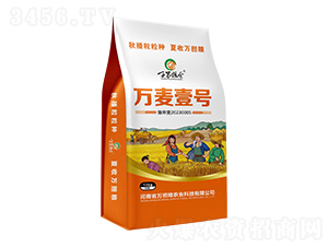 萬麥壹號(hào)15kg-小麥種子-萬擔(dān)糧
